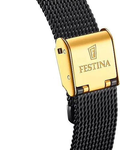 Festina Automatic F20629/2