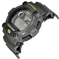 Часы Casio G-Shock G-7900-3DR (G-7900-3E) фото 6