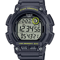 Часы Casio Collection WS-2100H-8A