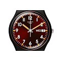 Часы Swatch Gent Biosourced Standard SO28B704 фото 2