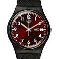 Часы Swatch Gent Biosourced Standard SO28B704