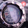 Часы Casio Pro Trek PRW-2500T-7E фото 3