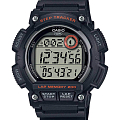 Часы Casio Collection WS-2100H-1A