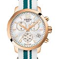 Часы Tissot T-Sport Quickster T095.417.37.117.01