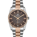 Часы Beverly Hills Polo Club BP3172C.540